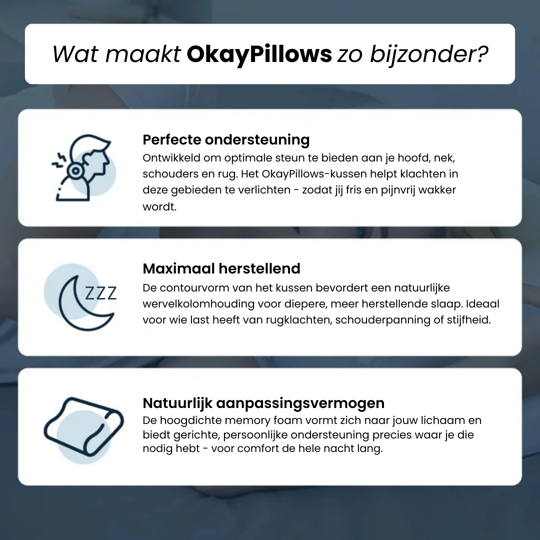 Het Ergonomische Kussen