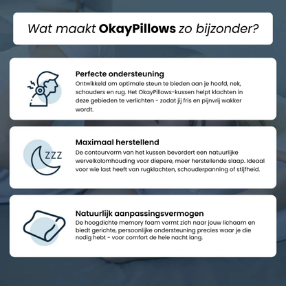 Het Ergonomische Kussen