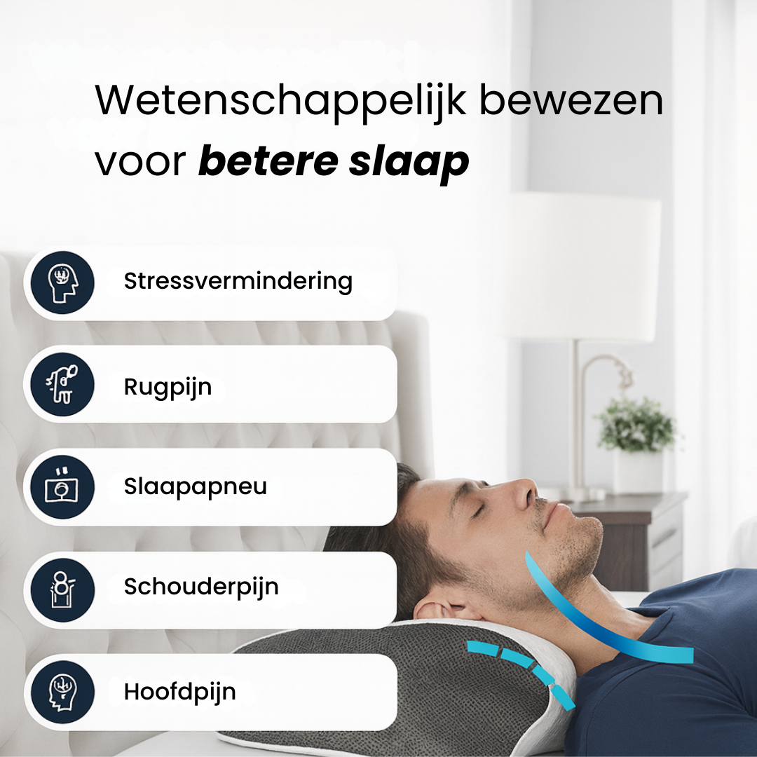 Het Ergonomische Kussen