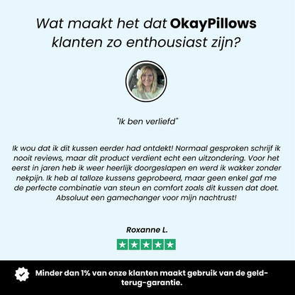 Het Ergonomische Kussen